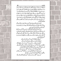 Hazir Ghayab -  حاضر غائب