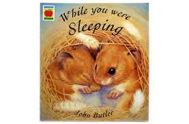while you were sleeping JOBN BUTLER