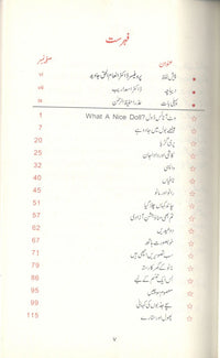 Chand kahan Chala Gia