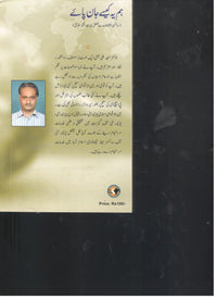 Hum ya kaisay jan payee