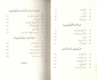 Hum ya kaisay jan payee