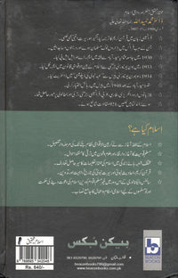 اسلام کیا ہے