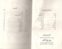 Patras Kay Mazameen - پطرس کے مضامین