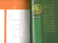 Hazrat Usman Kay Faislay