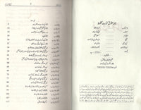 Fasana e Mubtala -فسانۂ مبتلا