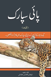 Learn PySpark (Part 1) in urdu