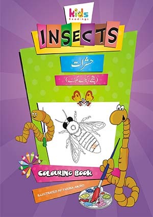 Insects Colouring Book