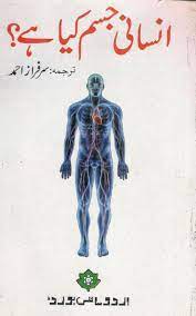 Insani Jisam Kia hy